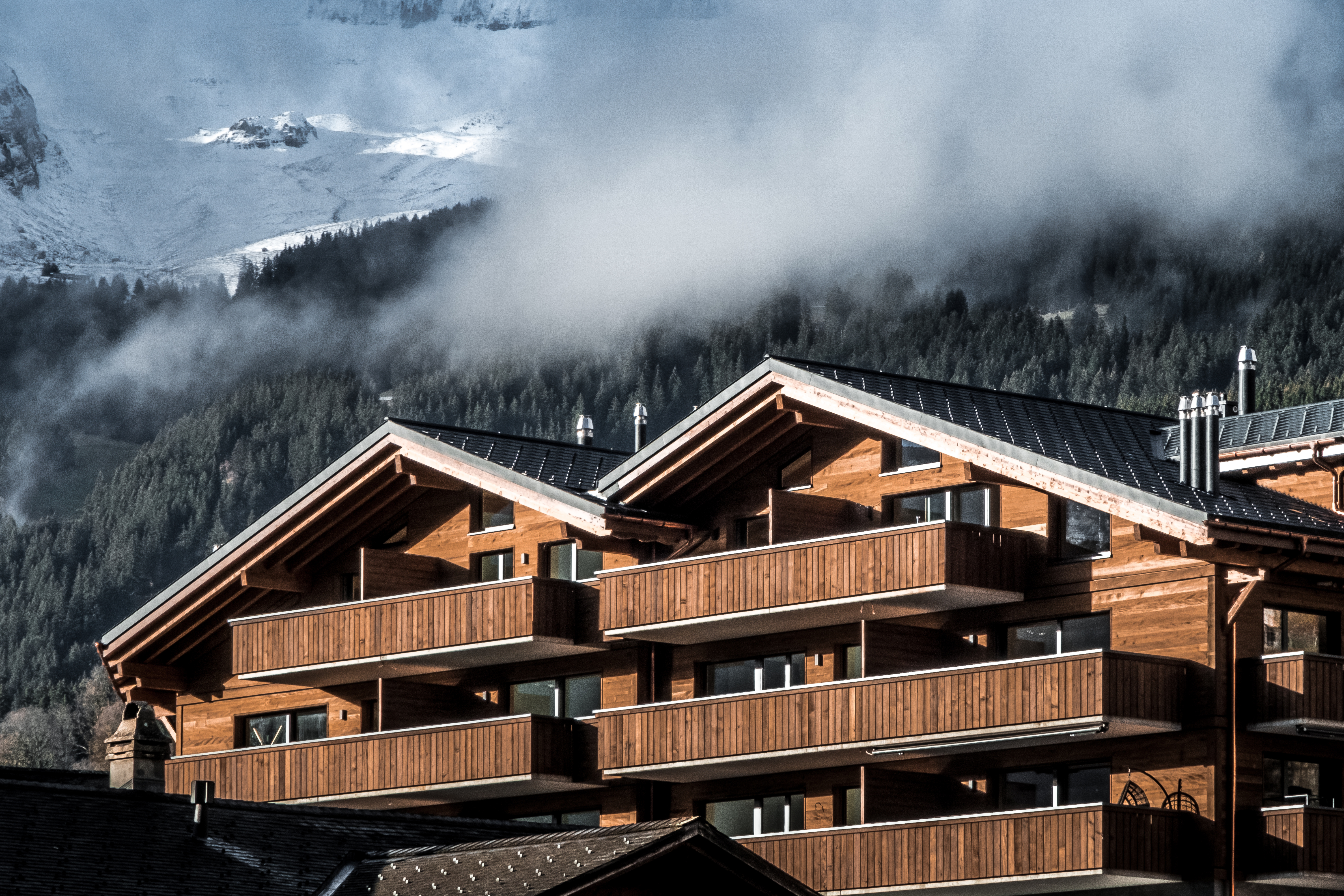 GRIWA ARCHITEKTUR GRIWA ARCHITECTURE - WALT project in Grindelwald